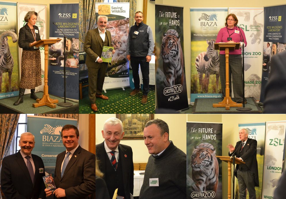 Highlights from the parliamentary reception